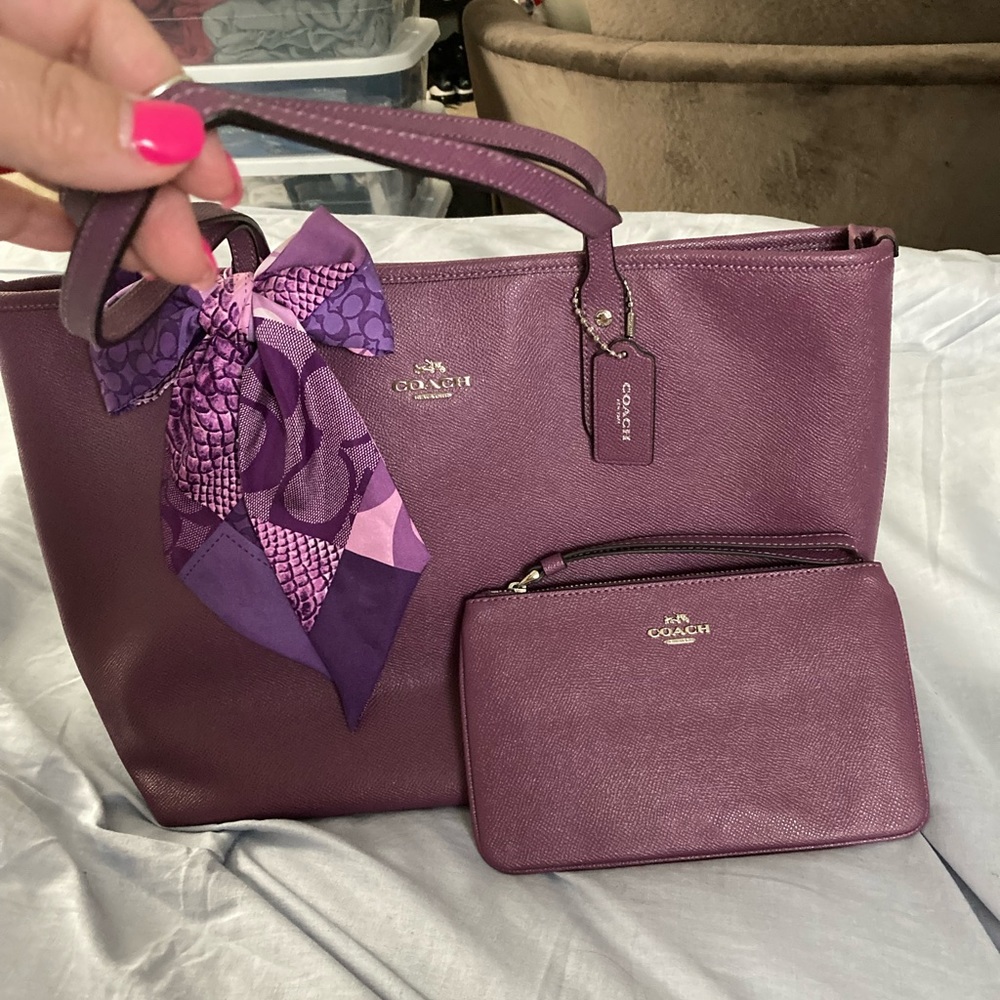 LNC Coach purse